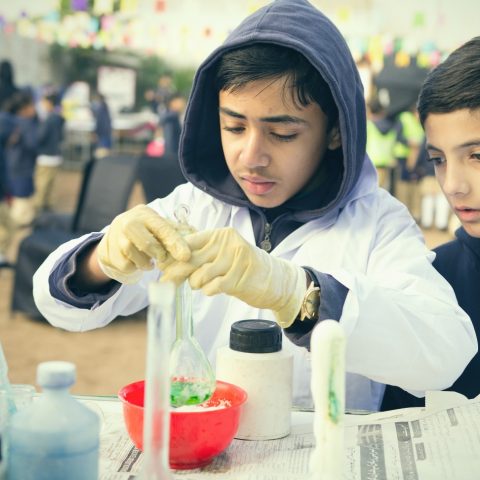 Science and Art Fair Photo
